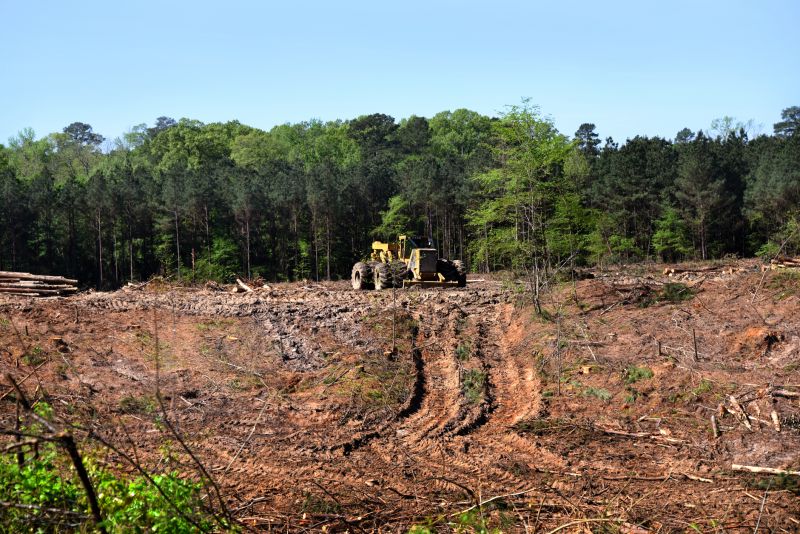 Farm Clearing in Katy, TX